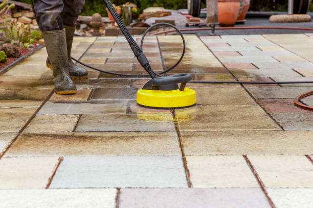 Animal Enclosure Cleaning in Smethport, PA